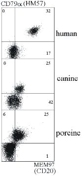 Flow Cytometry - Anti-CD20 antibody [MEM-97] (AB8237)