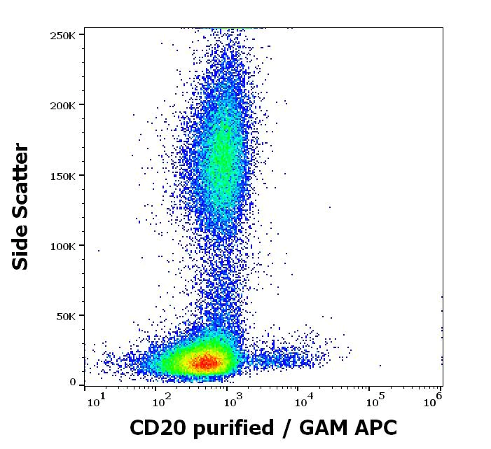 Flow Cytometry - Anti-CD20 antibody [MEM-97] (AB8237)