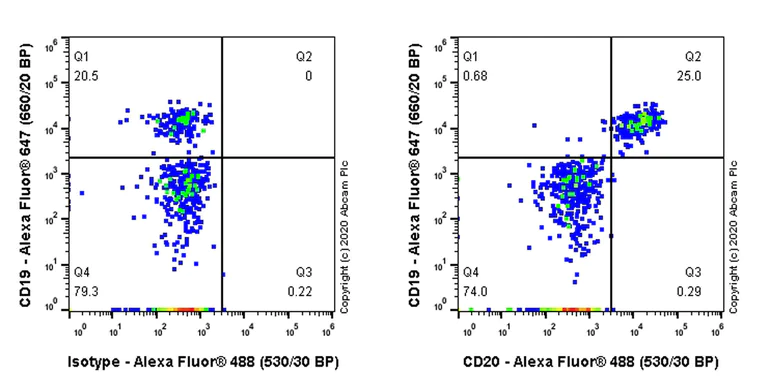 Flow Cytometry - Anti-CD20 antibody [PDR78] - BSA and Azide free (AB255940)