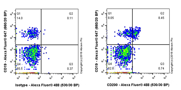 Flow Cytometry - Anti-CD200 / OX2 antibody [EPR22412-53] - BSA and Azide free (AB254213), expandable thumbnail