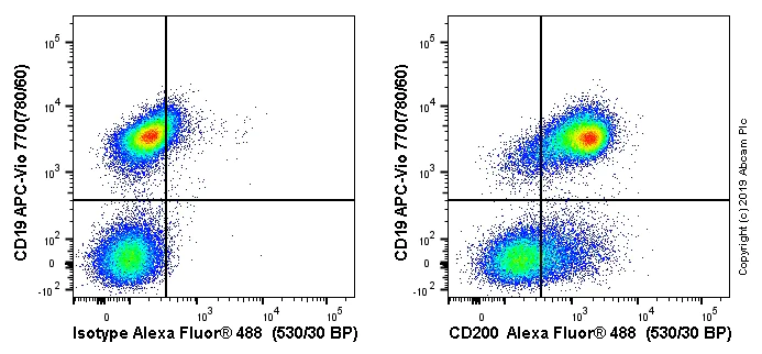 Flow Cytometry - Anti-CD200 / OX2 antibody [MRC OX90] - BSA and Azide free (AB244564)