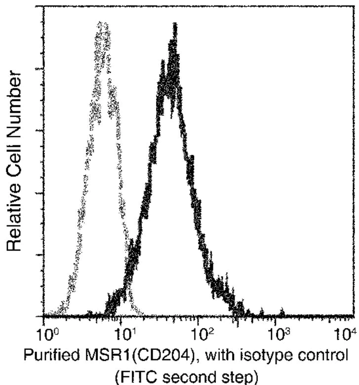 Flow Cytometry - Anti-CD204 antibody [004] - BSA and Azide free (AB277135)