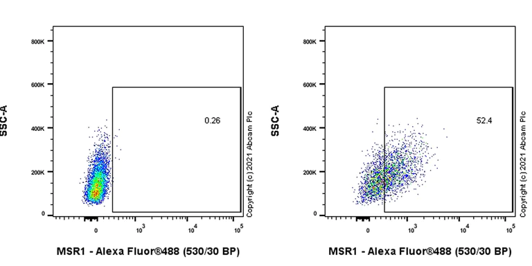 Flow Cytometry - Anti-CD204 antibody [EPR24403-17] (AB271070)