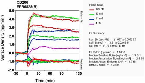 OI-RD Scanning - Anti-CD206 antibody [EPR6828(B)] (AB125028)