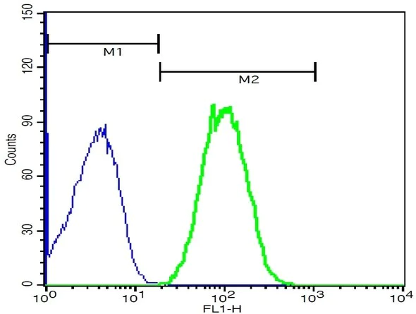 Flow Cytometry - Anti-CD21 antibody - C-terminal (AB203299)