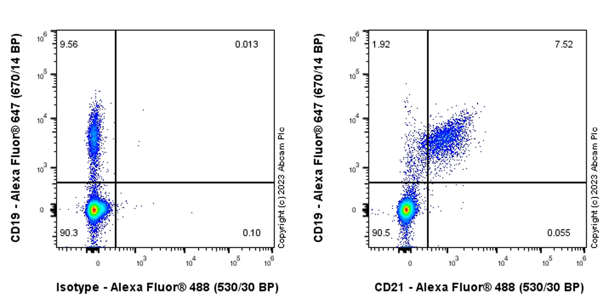Flow Cytometry - Anti-CD21 antibody [EPR27369-9] - BSA and Azide free (AB315161), expandable thumbnail