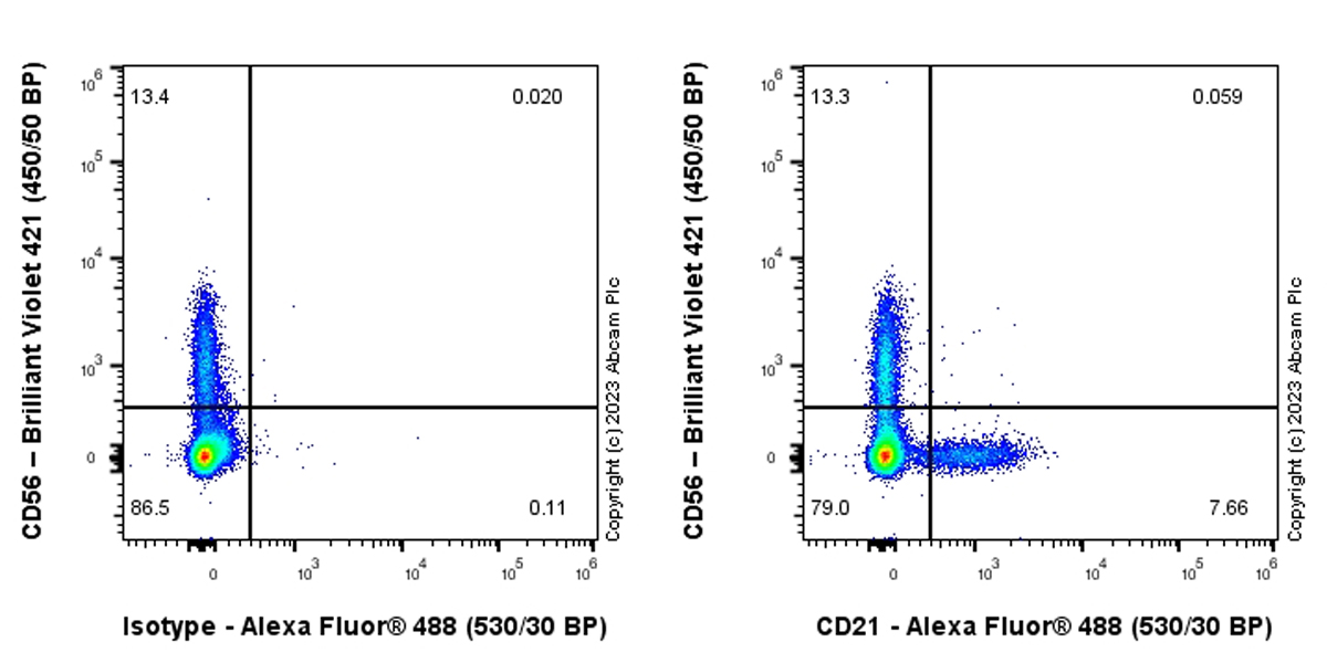 Flow Cytometry - Anti-CD21 antibody [EPR27369-9] - BSA and Azide free (AB315161), expandable thumbnail