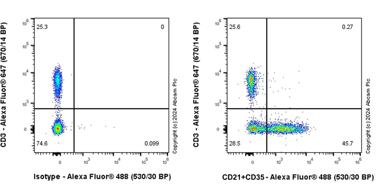 Flow Cytometry - Anti-CD21+CD35 antibody [EPR27417-513] - BSA and Azide free (AB317023)