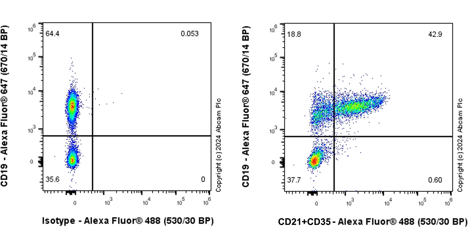 Flow Cytometry - Anti-CD21+CD35 antibody [EPR27417-513] - BSA and Azide free (AB317023), expandable thumbnail