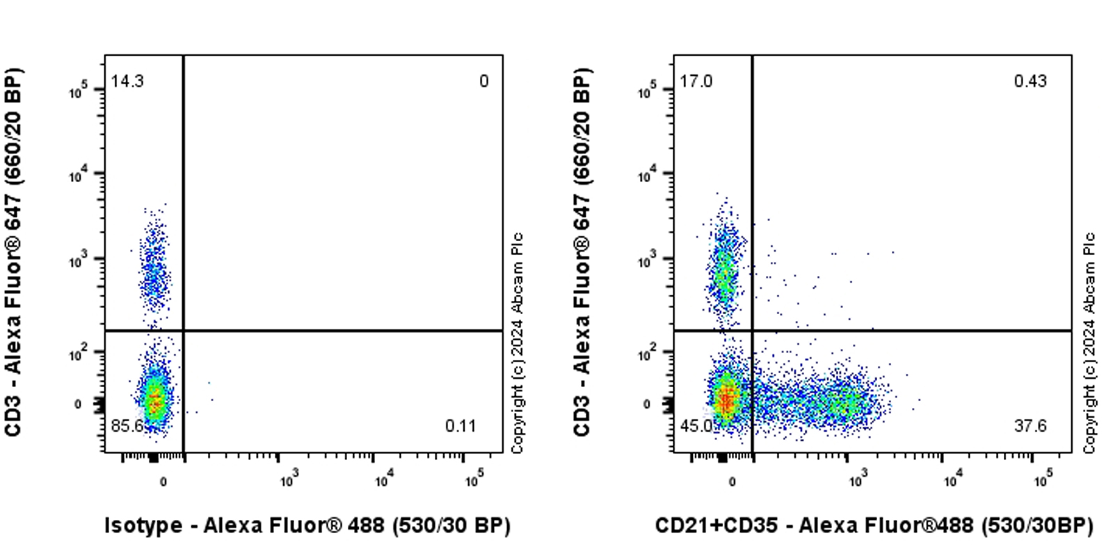 Flow Cytometry - Anti-CD21+CD35 antibody [RM2062] (AB318999), expandable thumbnail