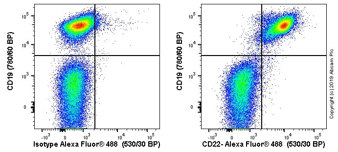 Flow Cytometry - Anti-CD22 antibody [OX97] - BSA and Azide free (AB244594), expandable thumbnail