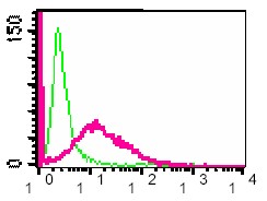 Flow Cytometry - Anti-CD22 (phospho Y822) antibody [Y506] - BSA and Azide free (AB284667), expandable thumbnail