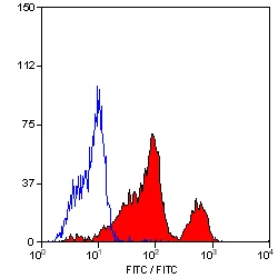 Flow Cytometry - Anti-CD226 antibody [DX11] (AB33397)