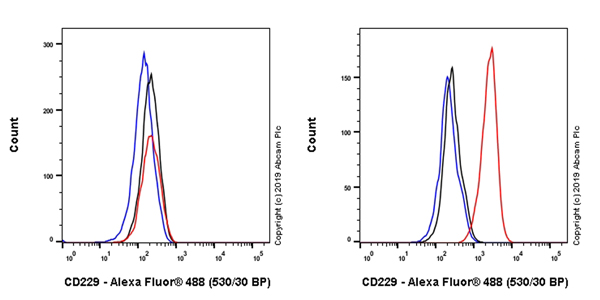 Flow Cytometry - Anti-CD229 antibody [EPR22611-54] - BSA and Azide free (AB255689), expandable thumbnail