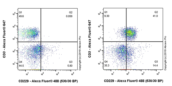 Flow Cytometry - Anti-CD229 antibody [EPR22611-54] - BSA and Azide free (AB255689), expandable thumbnail