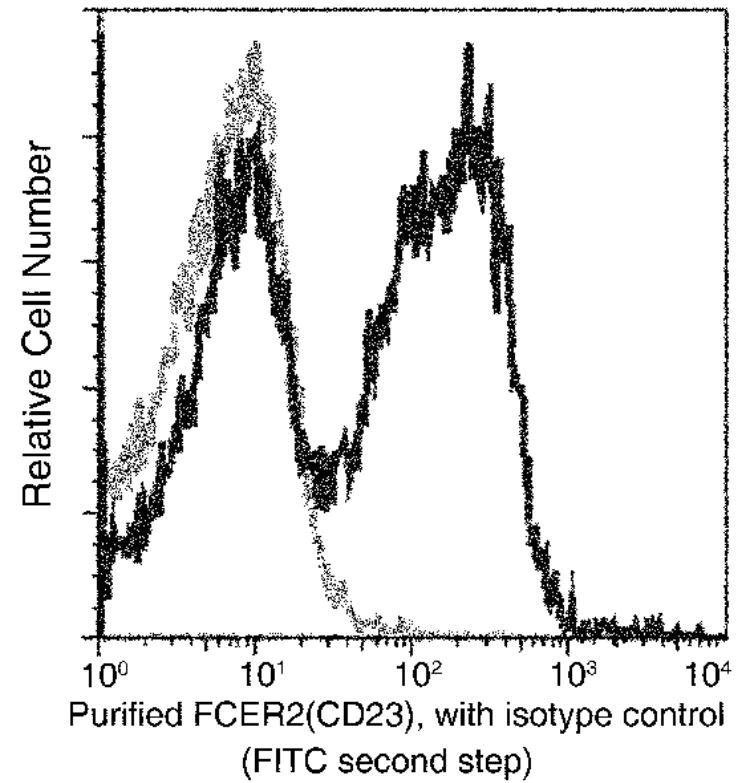 Flow Cytometry - Anti-CD23 antibody [007] - BSA and Azide free (AB277131)