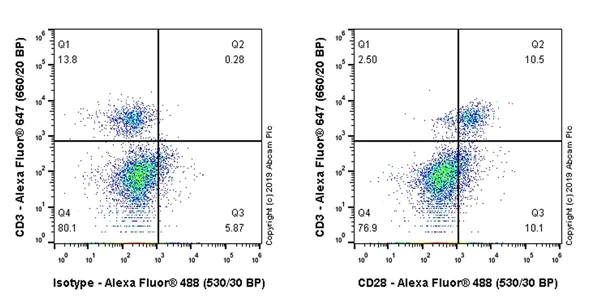 Flow Cytometry - Anti-CD28 antibody [EPR23280-63] - BSA and Azide free (AB270034)
