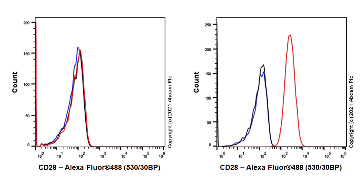 Flow Cytometry - Anti-CD28 antibody [EPR24592-5] (AB283860), expandable thumbnail