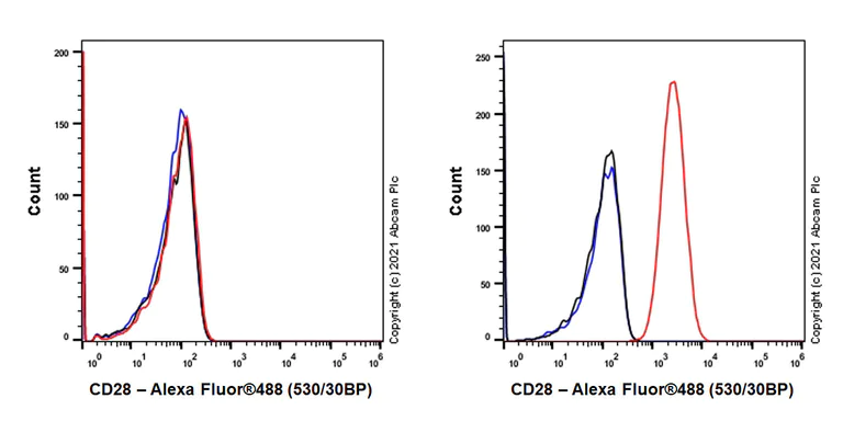 Flow Cytometry - Anti-CD28 antibody [EPR24592-5] - BSA and Azide free (AB283861)