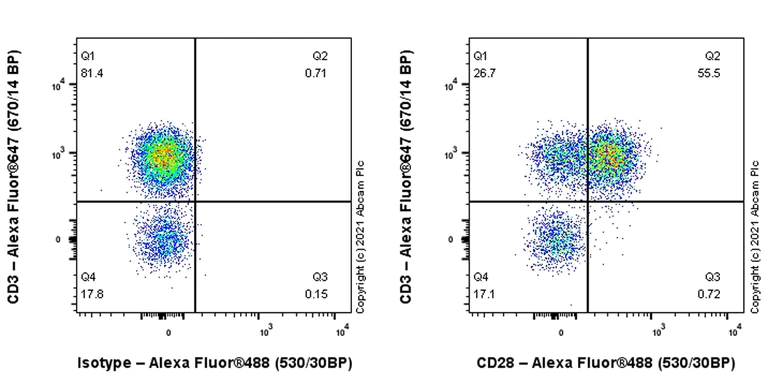 Flow Cytometry - Anti-CD28 antibody [EPR24592-5] - BSA and Azide free (AB283861)