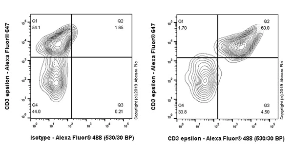 Flow Cytometry (Intracellular) - Anti-CD3 epsilon antibody [CAL54] - BSA and Azide free (AB251594)