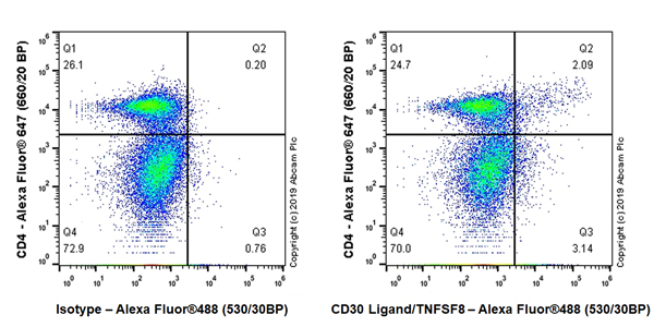 Flow Cytometry - Anti-CD30-L antibody [EPR23009-76] (AB267462), expandable thumbnail