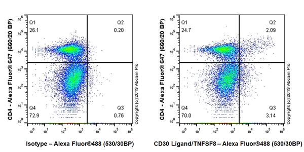 Flow Cytometry - Anti-CD30-L antibody [EPR23009-76] (AB267462)
