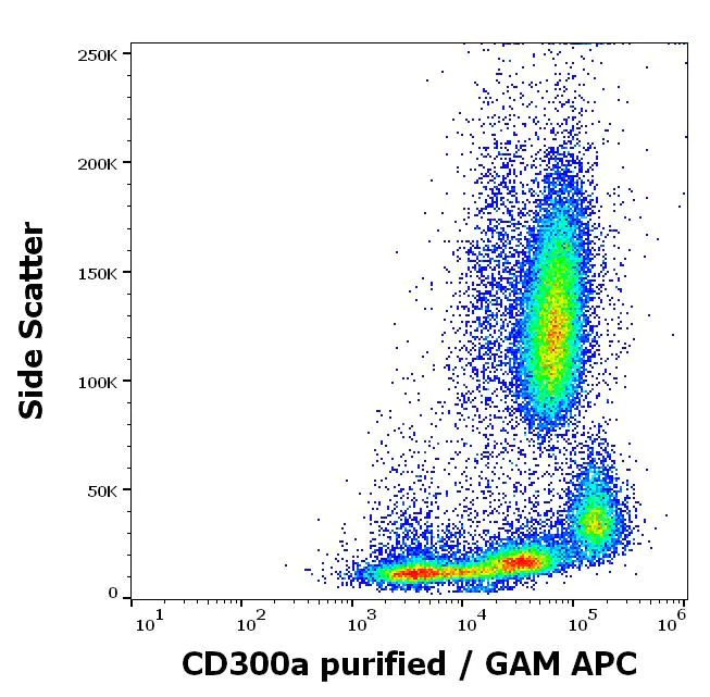 Flow Cytometry - Anti-CD300 antibody [MEM-260] (AB53317)