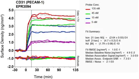 OI-RD Scanning - Anti-CD31 antibody [EPR3094] (AB76533)