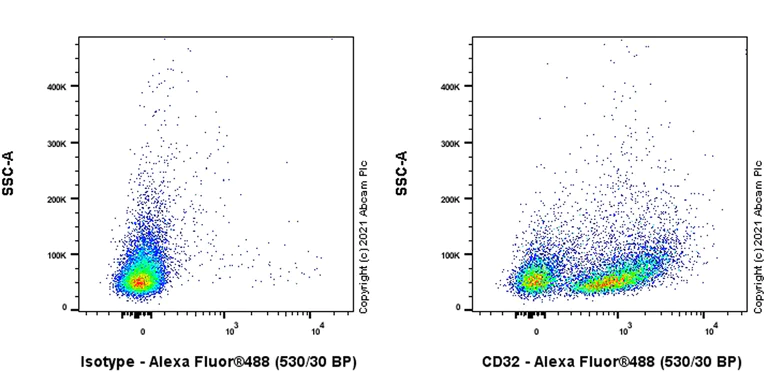 Flow Cytometry - Anti-CD32 antibody [AT130-2] - BSA and Azide free (AB282727)