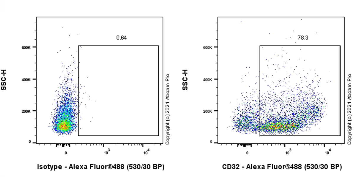 Flow Cytometry - Anti-CD32 antibody [D34-485] (AB289668), expandable thumbnail