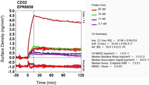 OI-RD Scanning - Anti-CD32A + CD32C antibody [EPR6658] - BSA and Azide free (AB248099)