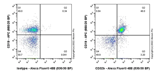 Flow Cytometry - Anti-CD32B antibody [AT130-5] (BSA and Azide free) (AB290752)