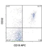 Flow Cytometry - Anti-CD32B + CD32A antibody [6C4 (CD32)] - Low endotoxin, Azide free (AB185747)