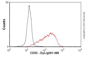 Flow Cytometry (Intracellular) - Anti-CD32B + CD32A antibody [AT10] (AB23336)