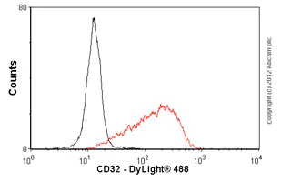 Flow Cytometry (Intracellular) - Anti-CD32B + CD32A antibody [AT10] (AB23336)