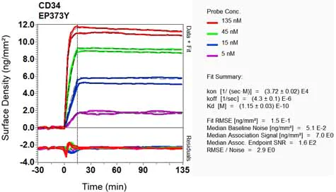 OI-RD Scanning - Anti-CD34 antibody [EP373Y] - BSA and Azide free (AB198395)