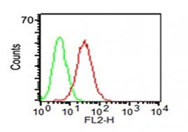 Flow Cytometry - Anti-CD34 antibody [HPCA1/1171] - BSA and Azide free (AB213058), expandable thumbnail