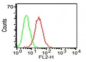 Flow Cytometry - Anti-CD34 antibody [ICO-115] - BSA and Azide free (AB213053)
