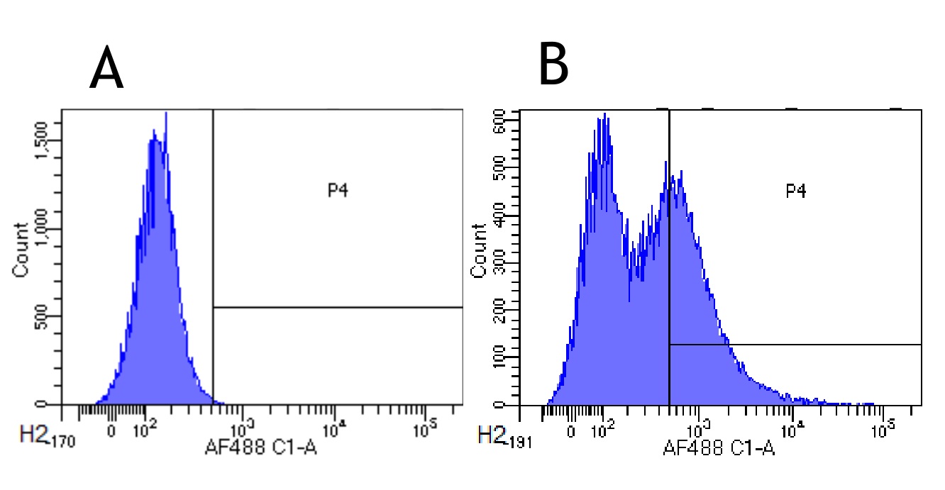 Flow Cytometry - Anti-CD34 antibody [My10] (AB245689), expandable thumbnail