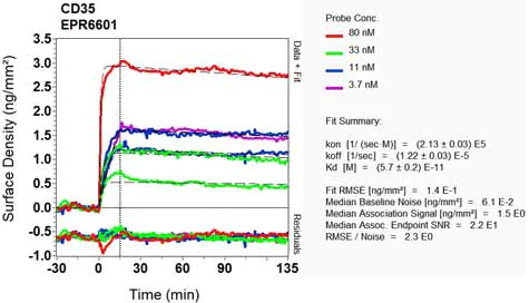 OI-RD Scanning - Anti-CD35 antibody [EPR6601] (AB133293)