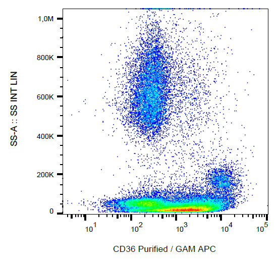 Flow Cytometry - Anti-CD36 antibody [CB38] (AB269351), expandable thumbnail