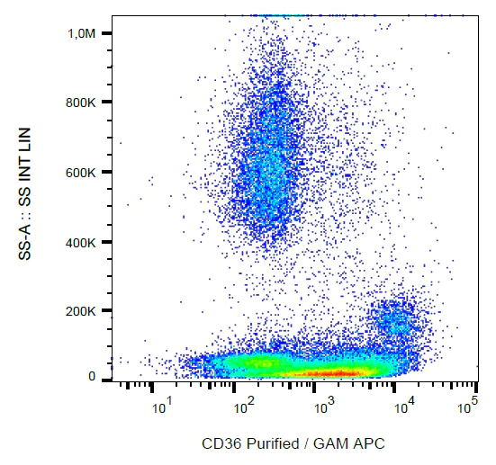 Flow Cytometry - Anti-CD36 antibody [CB38] (AB269351)