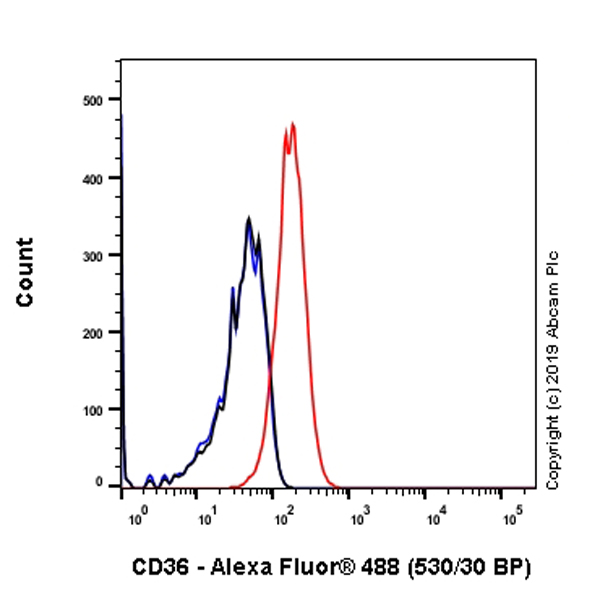 Anti-CD36 antibody [EPR22509-40] Rabbit monoclonal (ab252922