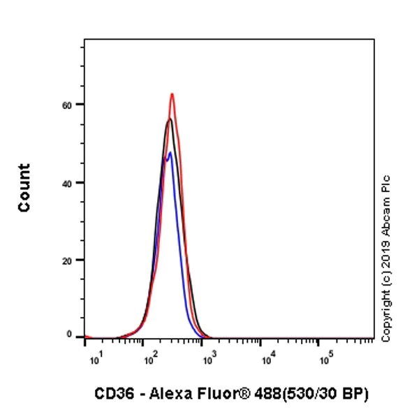 Flow Cytometry - Anti-CD36 antibody [EPR22509-40] - BSA and Azide free (AB255331)