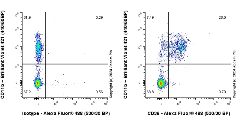 Flow Cytometry - Anti-CD36 antibody [EPR27433-40] (AB317250), expandable thumbnail