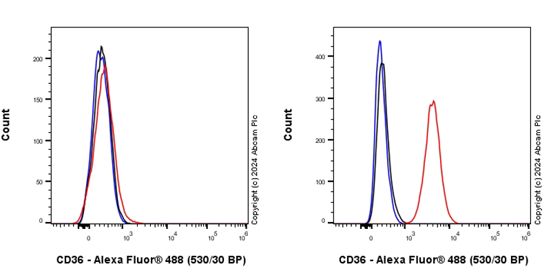 Flow Cytometry - Anti-CD36 antibody [EPR27433-40] (AB317250), expandable thumbnail