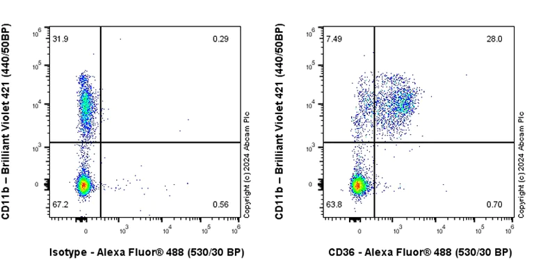 Flow Cytometry - Anti-CD36 antibody [EPR27433-40] - BSA and Azide free (AB317251)
