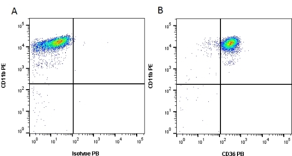 Flow Cytometry - Anti-CD36 antibody [MF3] - Low endotoxin, Azide free (AB80080)