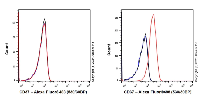 Flow Cytometry - Anti-CD37 antibody [EPR25397-136] (AB288439)